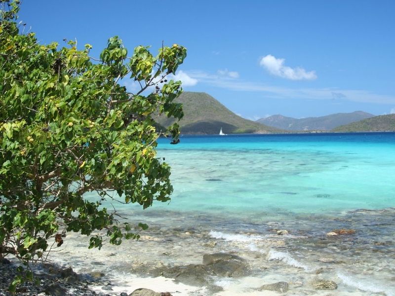 Leinster Bay