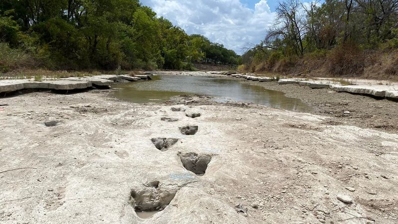 Dinosaur Valley Fossil Hunting