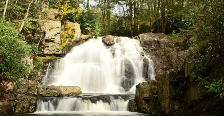 From Waterfalls To Wildlife: 15 Ways To Fall In Love With White Haven