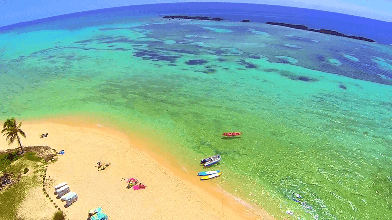 Deadman's Reef (Paradise Cove)