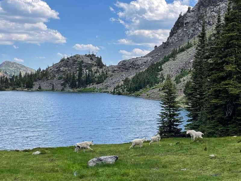 Rock Creek Lake