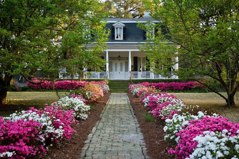 Summerville: Flower Town in the Pines