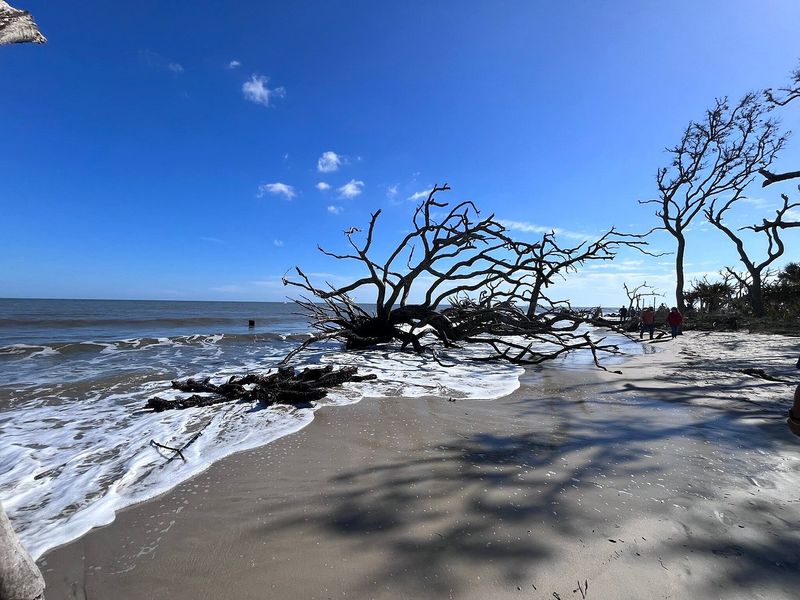 Edisto Island's Natural Retreat