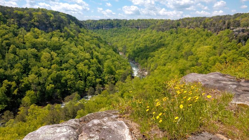 Alabama – Little River Canyon National Preserve