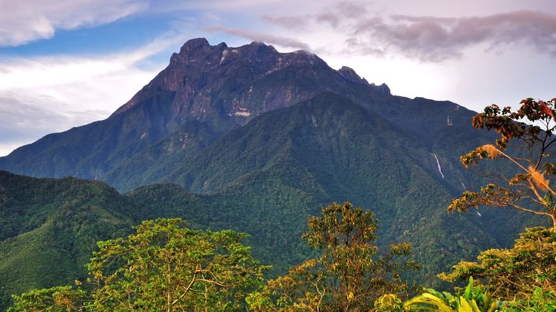 Malaysia's Borneo Rainforests