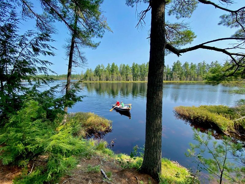 Trout Lake: Angler's Paradise Found
