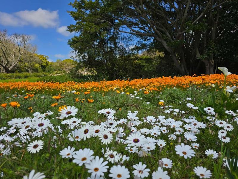 Garden Route, South Africa