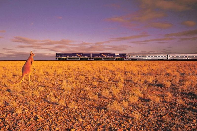 Waking up in the Australian Outback