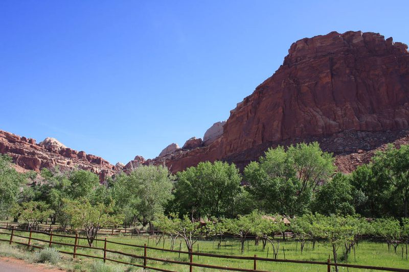 Capitol Reef National Park