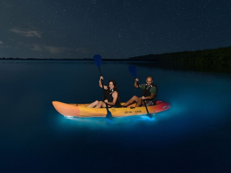 Bioluminescent Bays in Puerto Rico