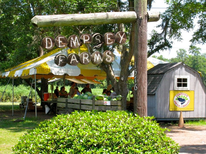Browse The Farmers Market