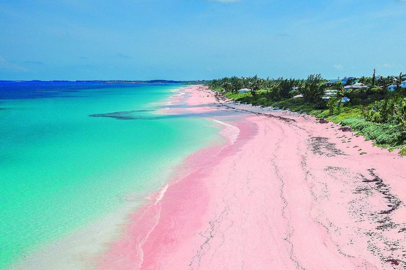 Pink Sands Beach, Harbour Island, Bahamas