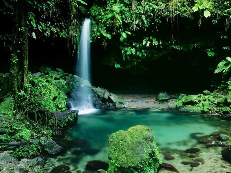 Dominica: Nature's Hidden Masterpiece