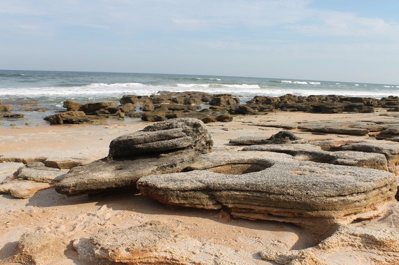 Anastasia State Park: Ancient Dunes and Historic Quarries