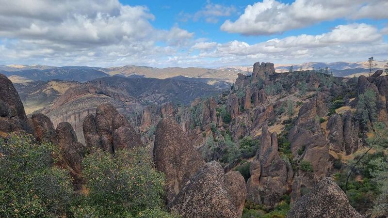 Pinnacles National Park Instead of Joshua Tree