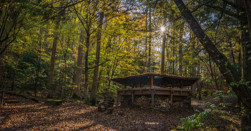 Tremont - Scholar's Retreat in the Forest