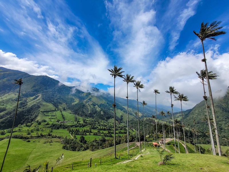 Salento, Colombia: Coffee Country Paradise