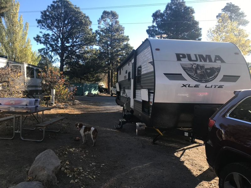 Palomino Puma XLE Lite