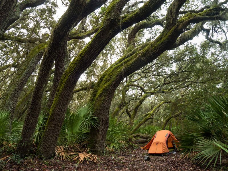 Cumberland Island National Seashore, Georgia