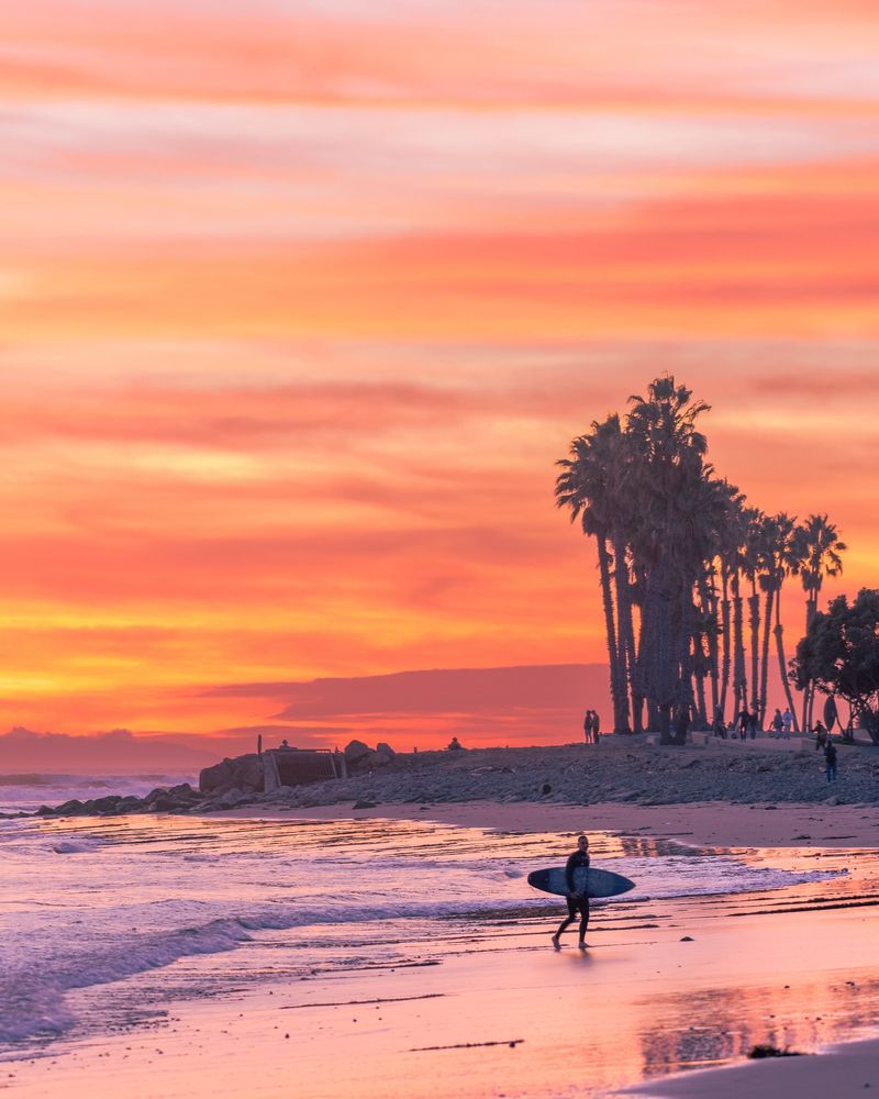 Surfing in California