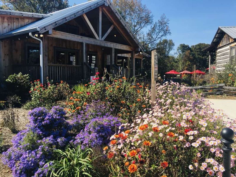 Cavender Creek Vineyards