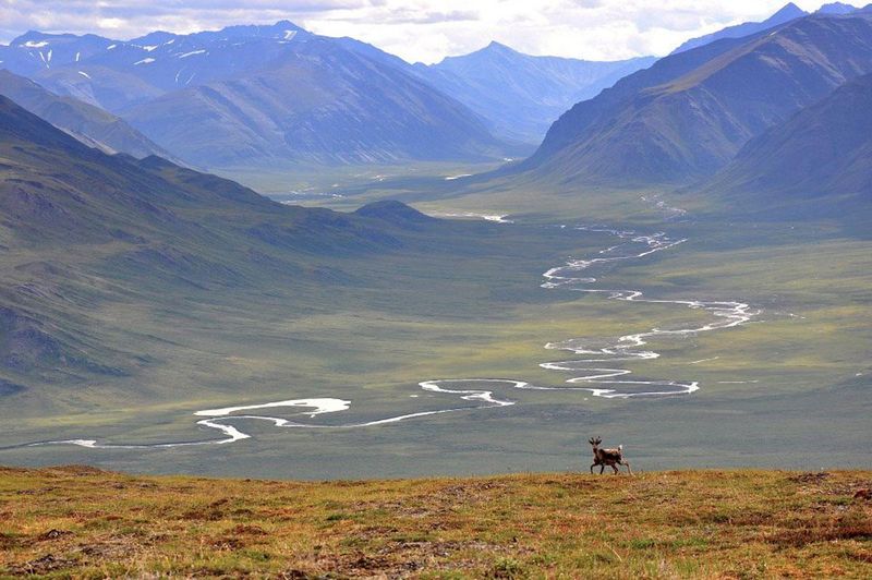 Gates of the Arctic: The Ultimate Wilderness Challenge