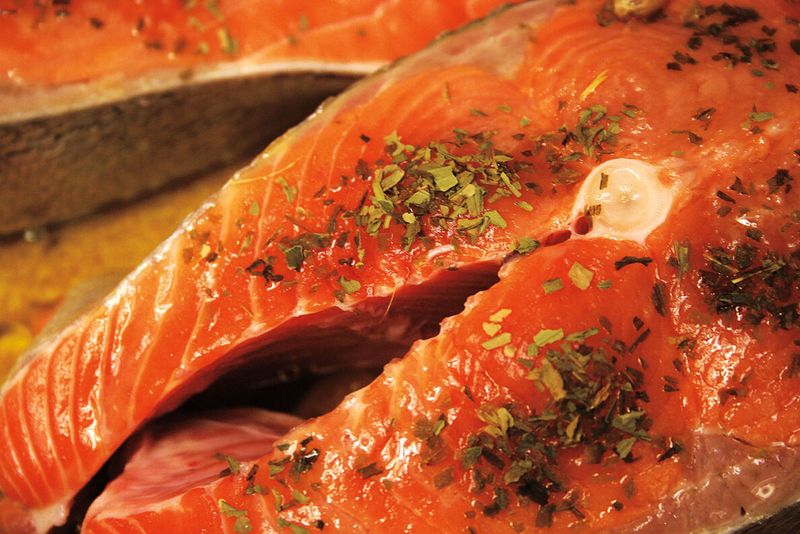Salmon