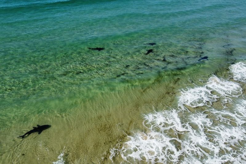 Fraser Island, Australia