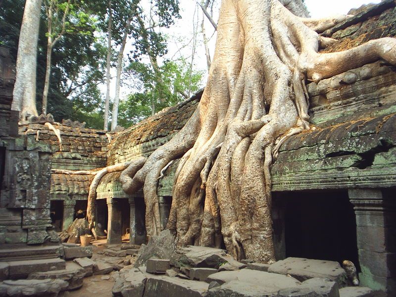Angkor Archaeological Park, Cambodia