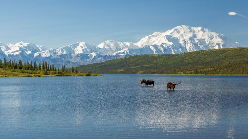 Alaska: Wilderness Wonders Without Passport Hassle