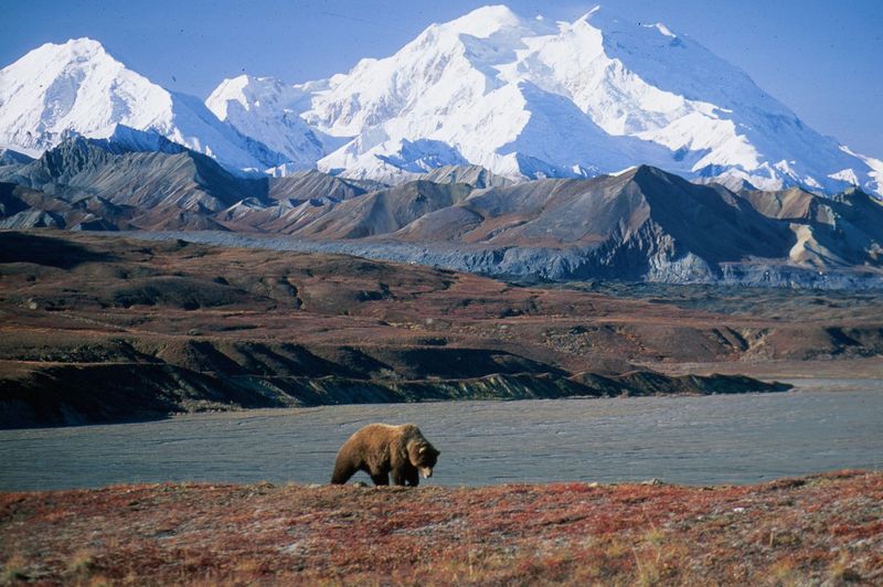 Alaska: America's Last Great Wilderness
