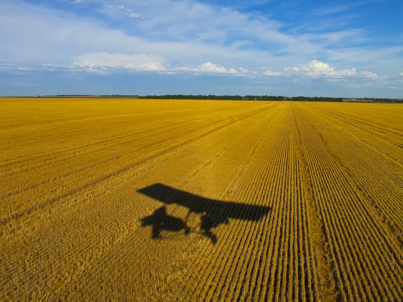 Kansas: Endless Wheat and Little Else