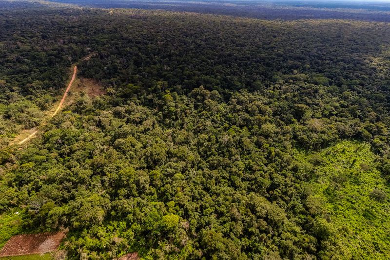 Rainforest Patrol in Bolivia