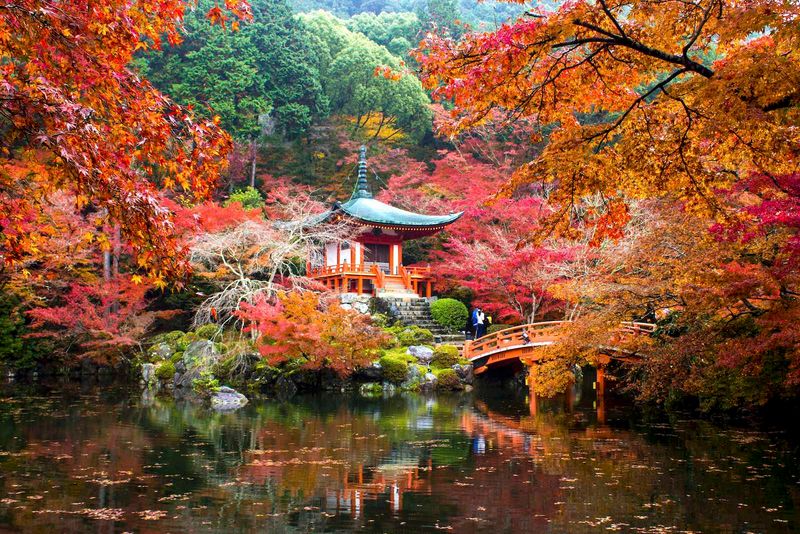 Kyoto, Japan: Where Ancient Gardens Meet Forest Temples