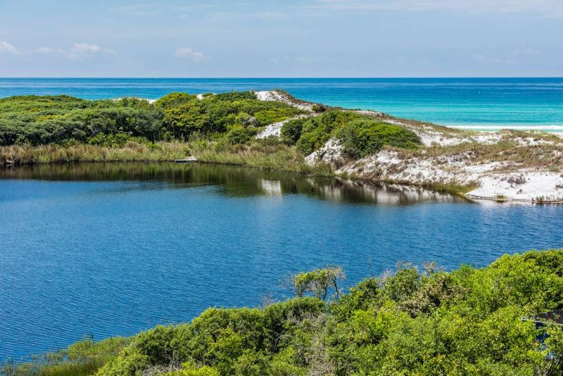 Grayton Beach State Park: Where Artists Meet Nature