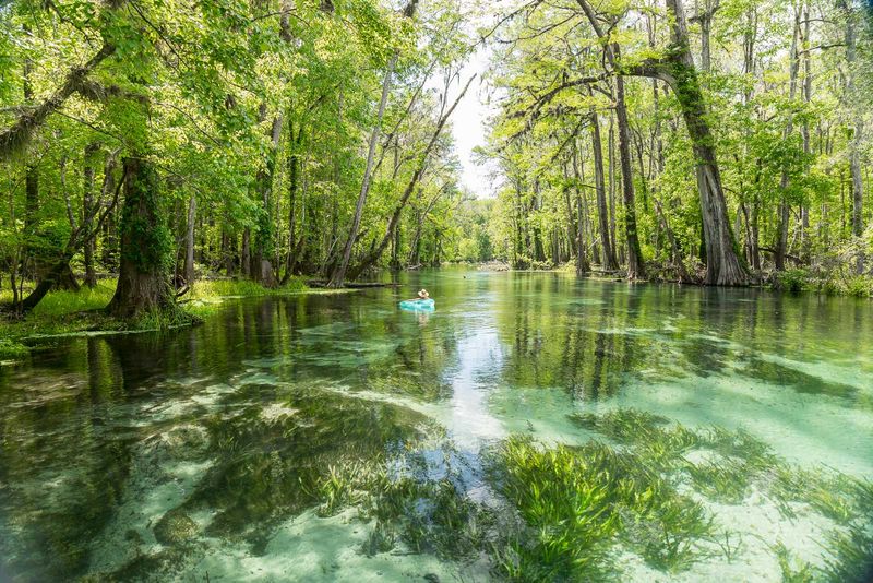 Ichetucknee Springs State Park - Can't Miss!