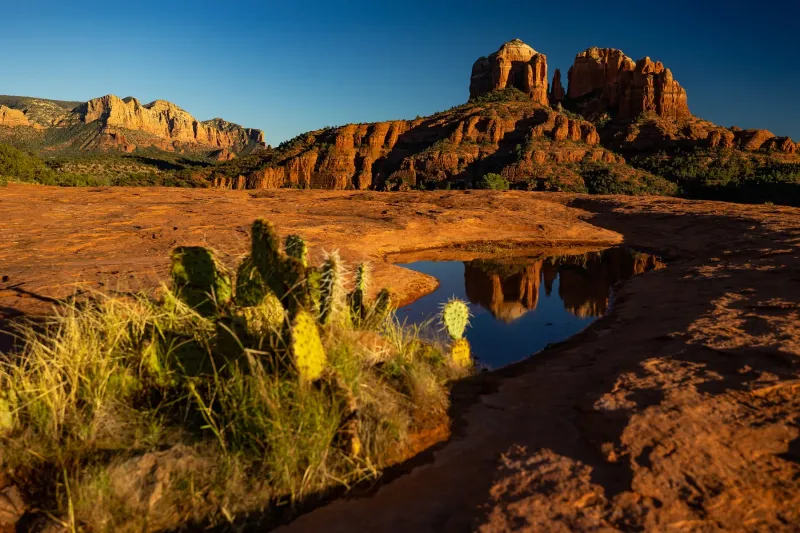 Desert Oasis in Sedona