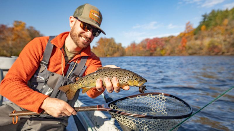 Fishing-Friendly Rivers