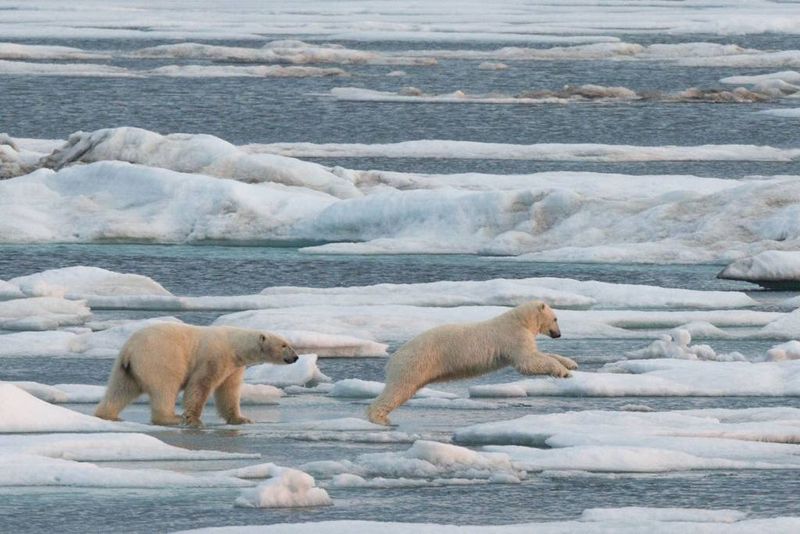 Svalbard, Norway