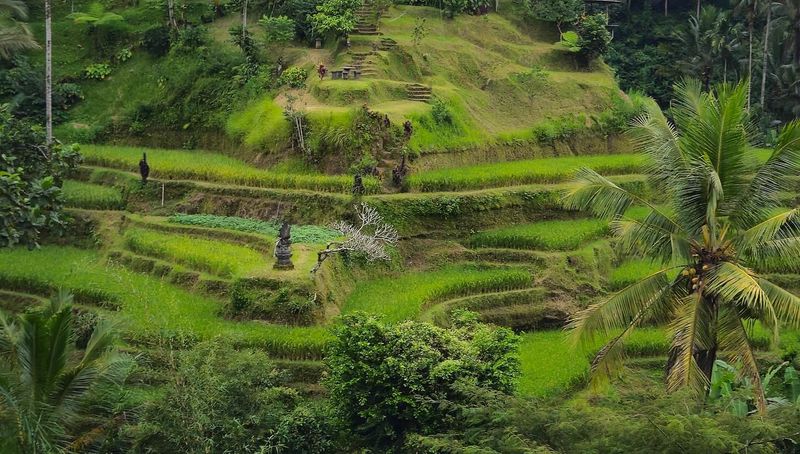 Ubud, Bali