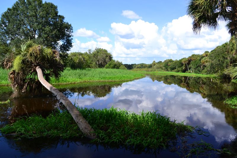 Myakka River State Park - Can't Miss!