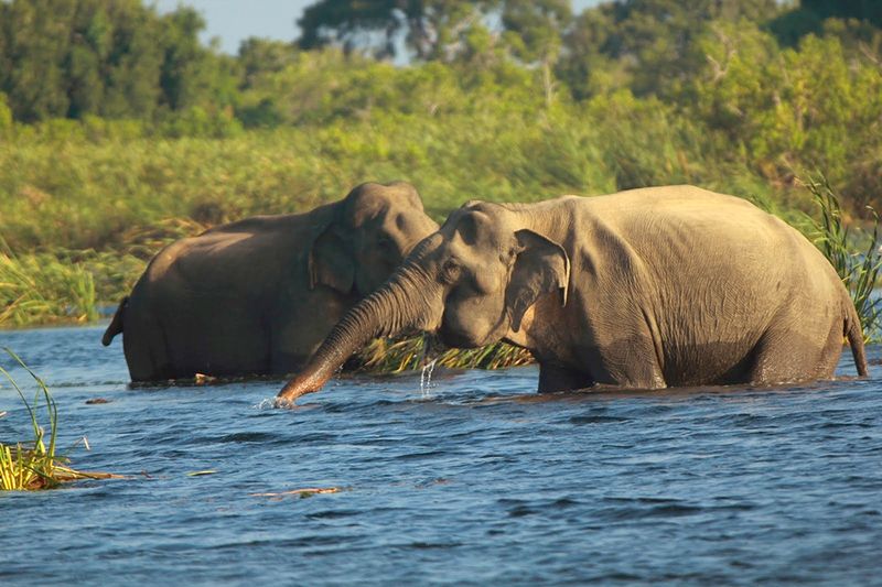 Gal Oya National Park, Sri Lanka