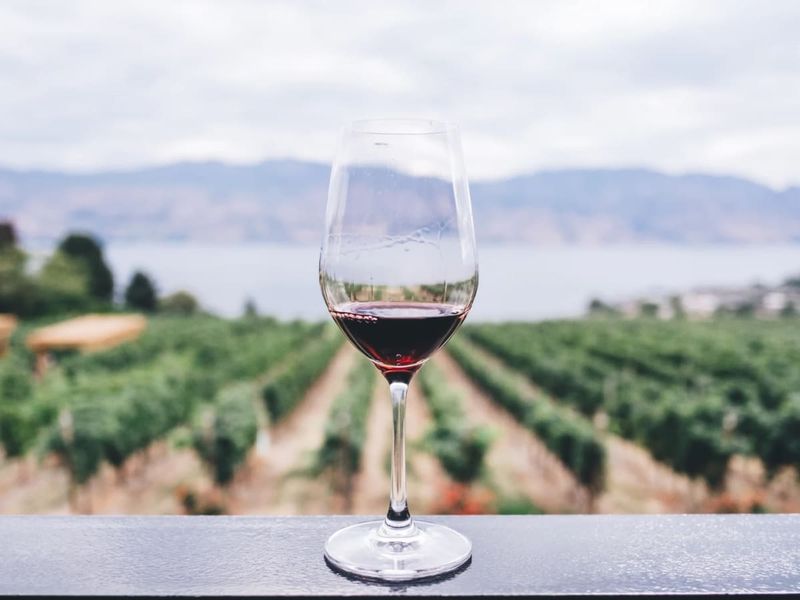 Wine Country Wandering