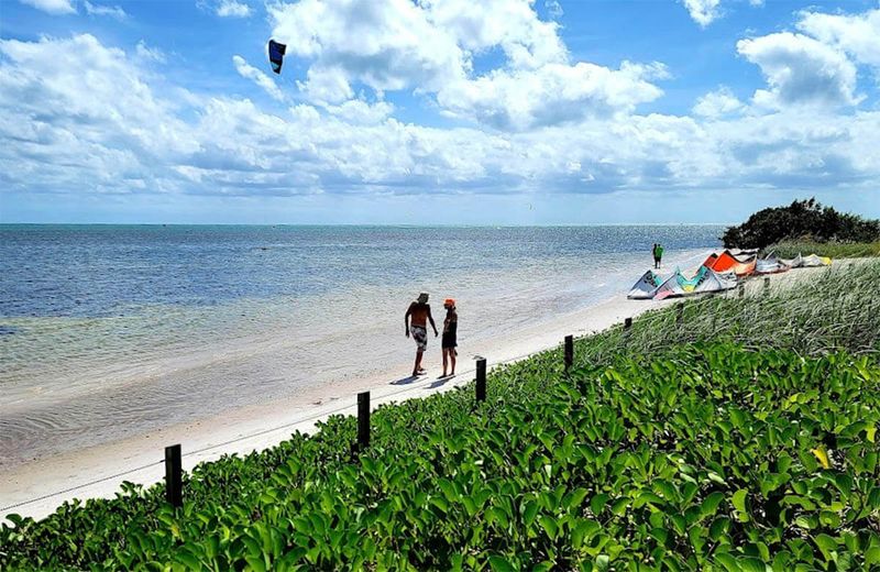 Curry Hammock State Park: Middle Keys Hidden Gem