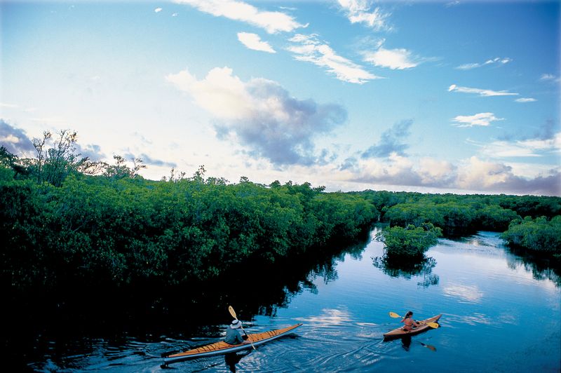 Curry Hammock State Park