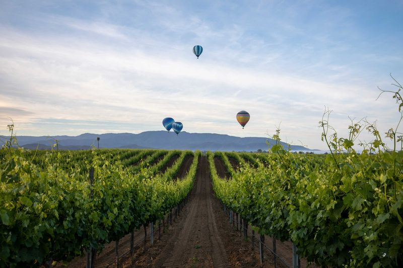 Temecula's Wine Country