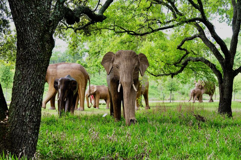 Houston Zoo – Houston, Texas