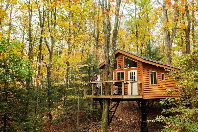The Greenheart TreeHouses in West Virginia
