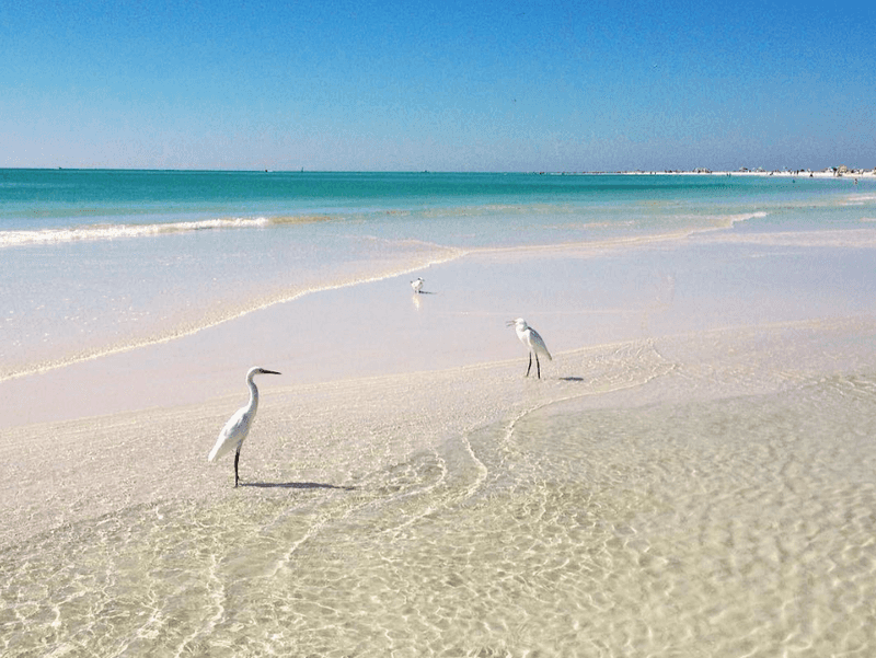 What Makes This Beach Stand Out