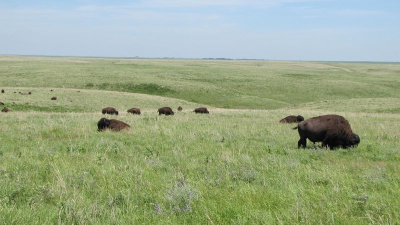 Kansas, Tallgrass Prairie National Preserve